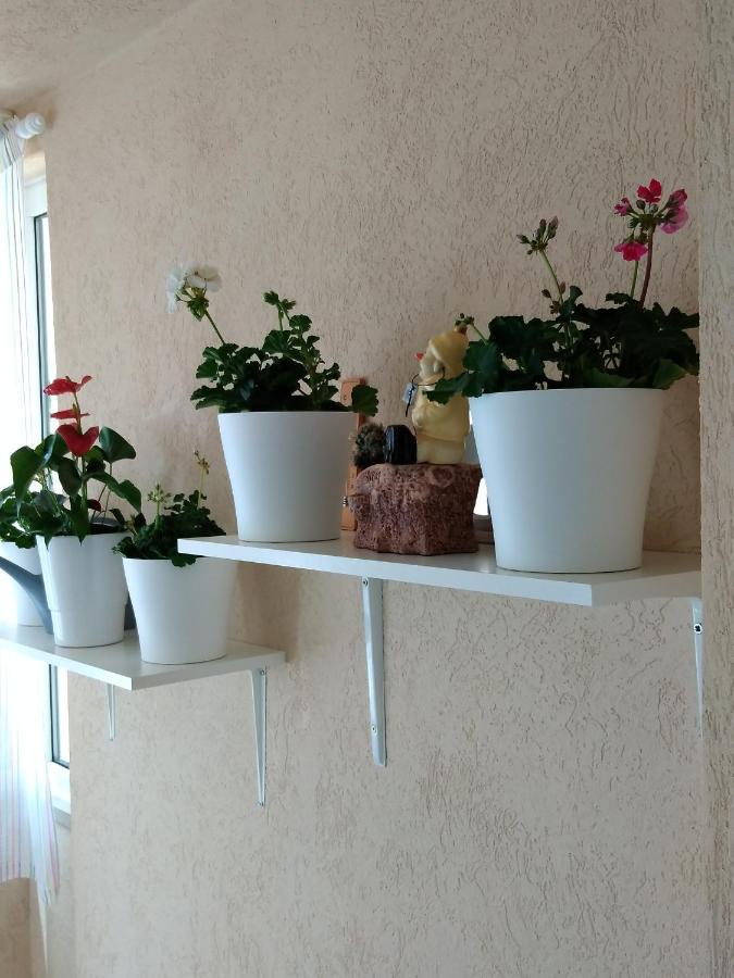 Heart Of Makarska Apartment Ngoại thất bức ảnh